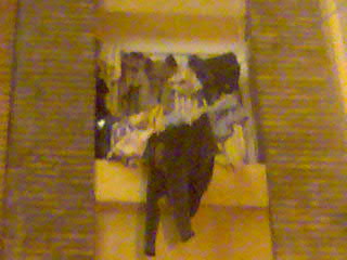 20071011183249-imagen004.jpg