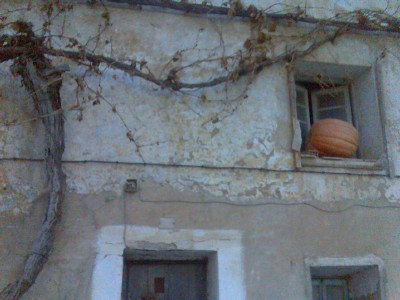 20071226232416-imagen107.jpg